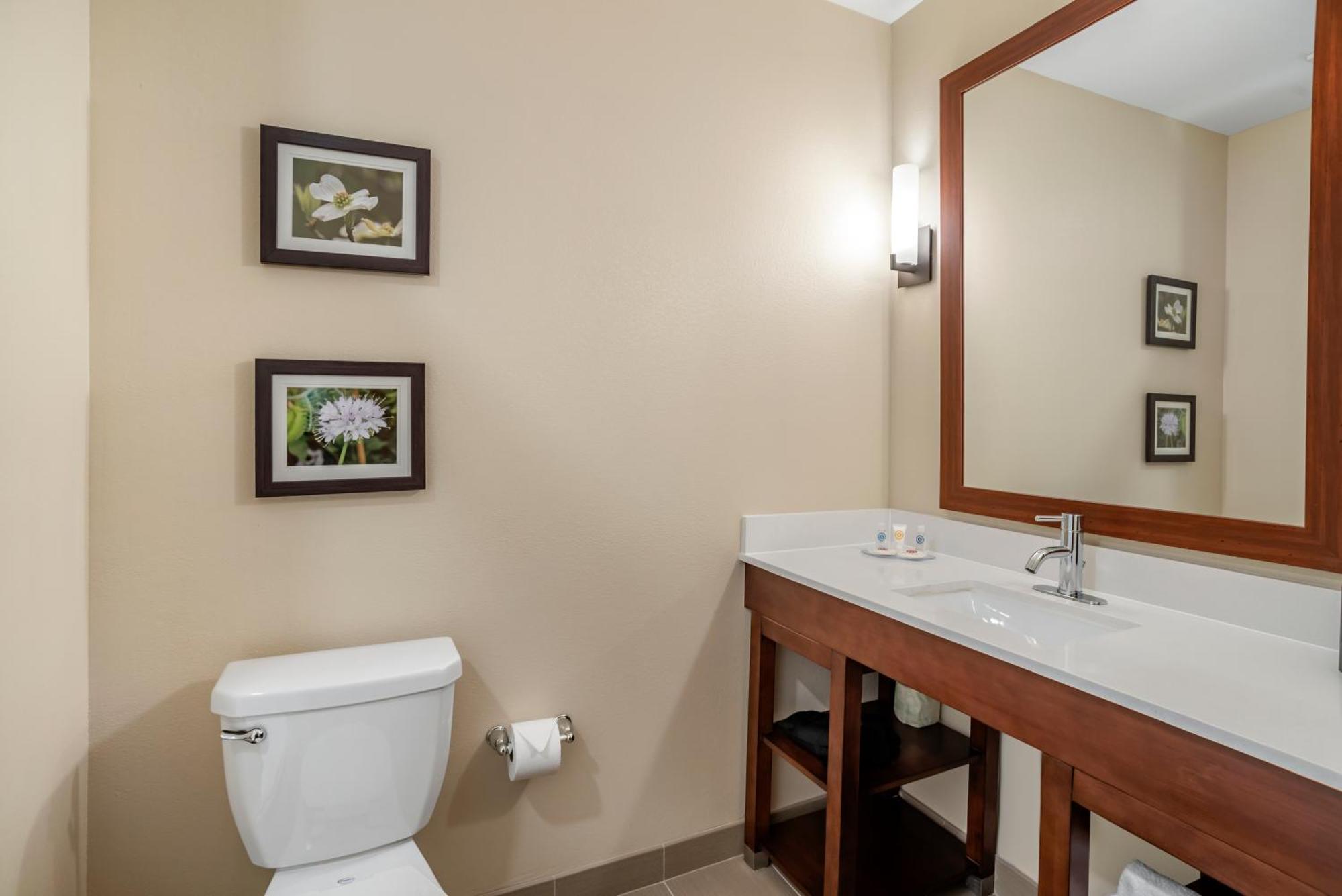 Comfort Inn & Suites Winchester Camera foto