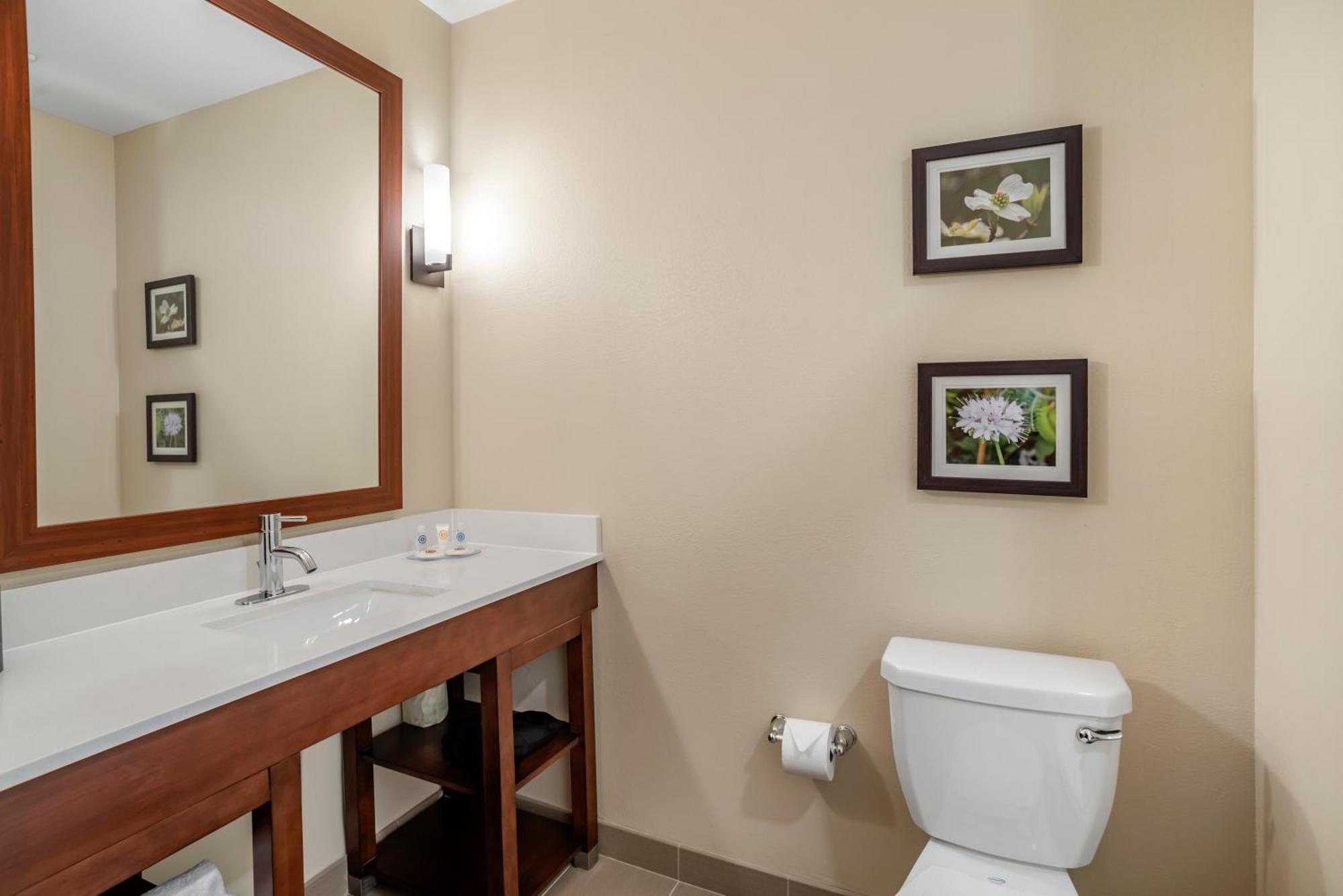 Comfort Inn & Suites Winchester Camera foto